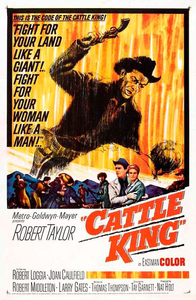 Pistolas en la frontera - Película 1963
