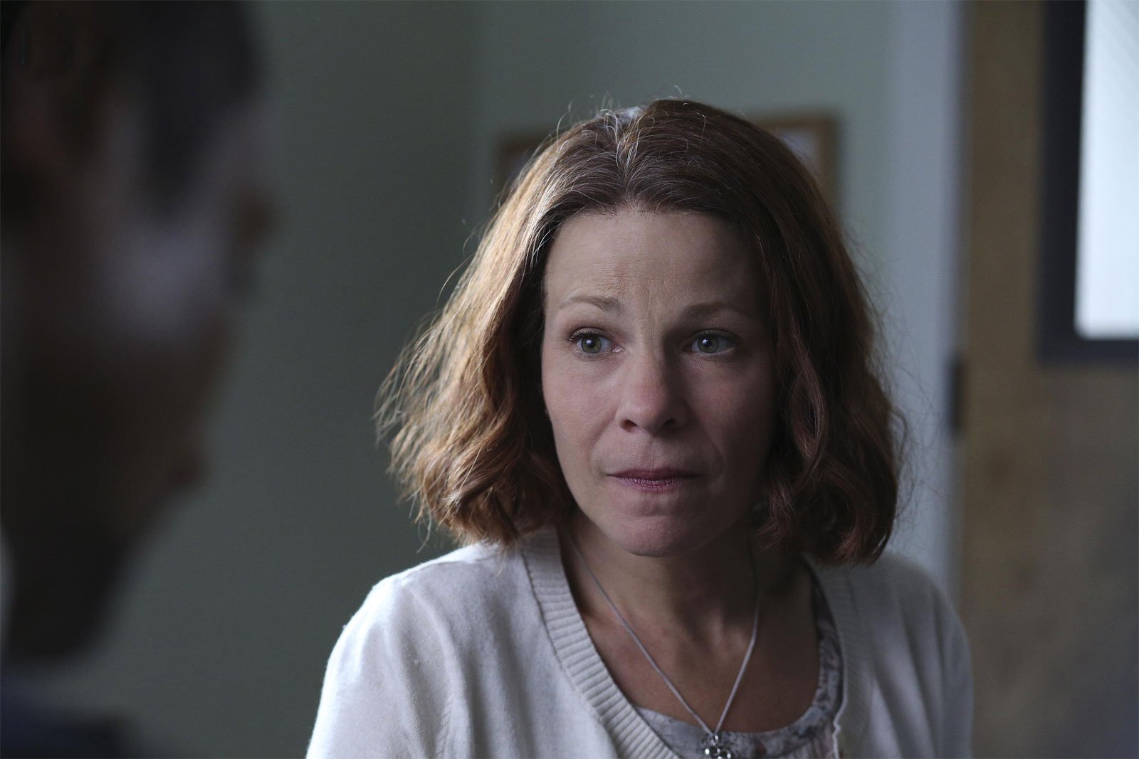 American Crime : Foto Lili Taylor