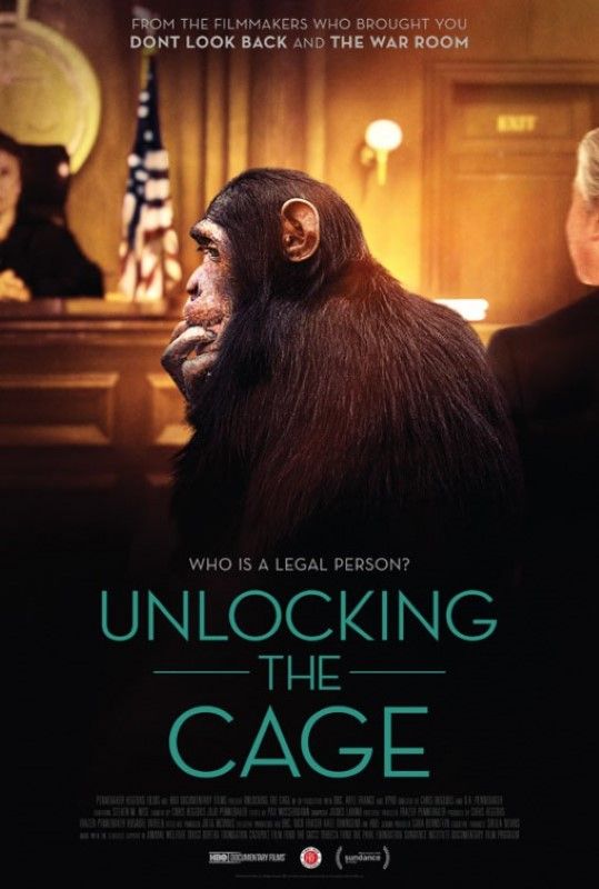 Unlocking the Cage - Documental 2016