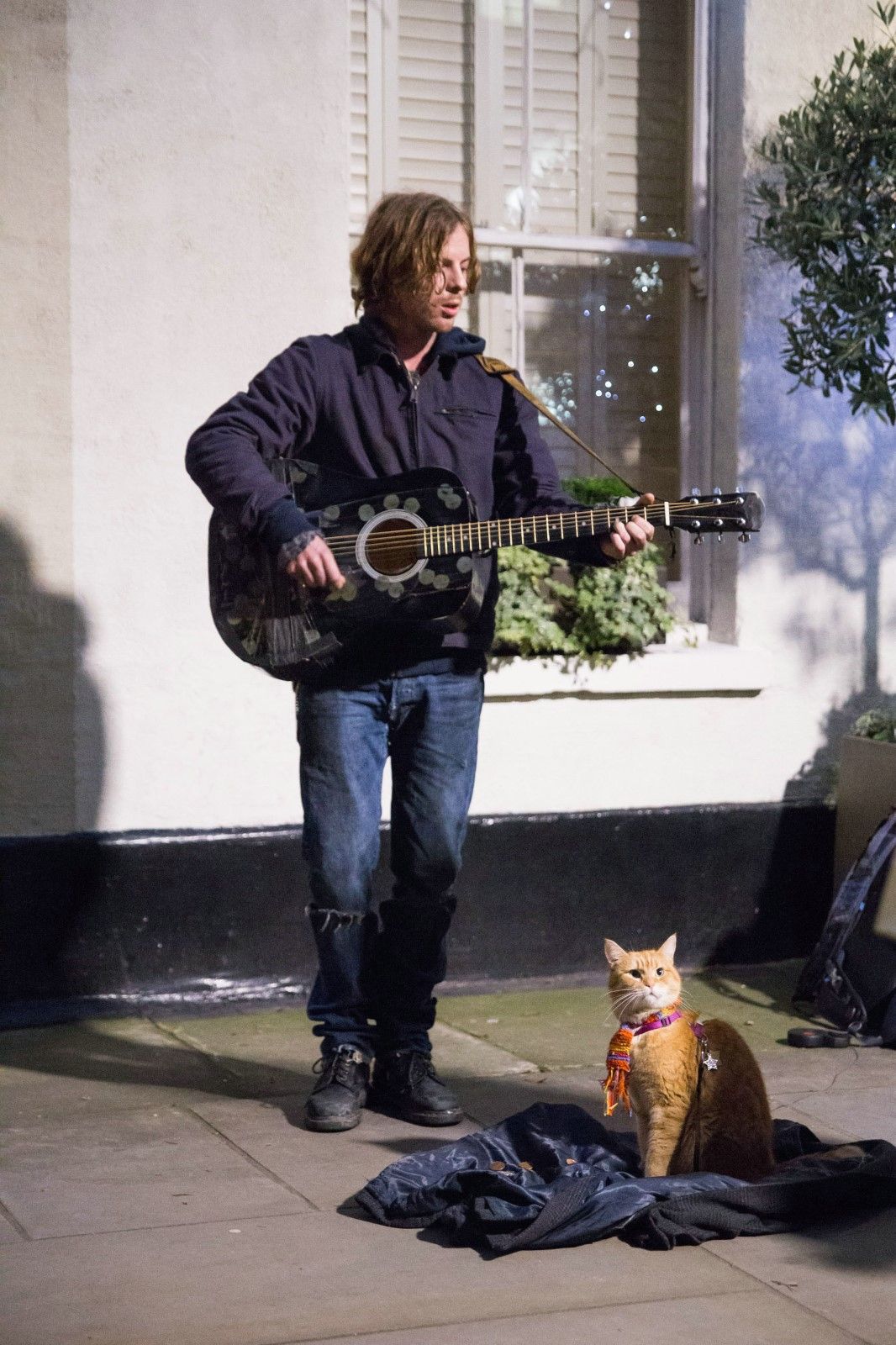 Foto de la película Un gato callejero llamado Bob Foto