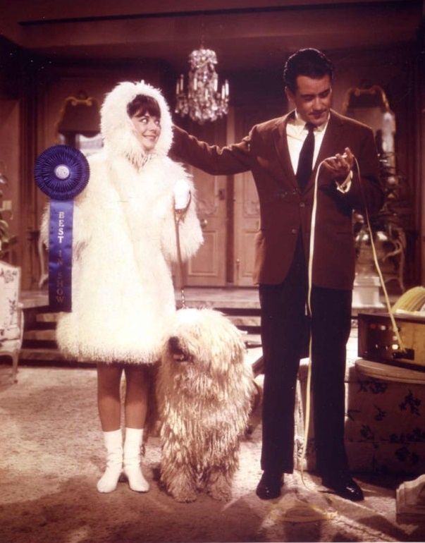 Foto de la película Penélope Foto 11 por un total de 13