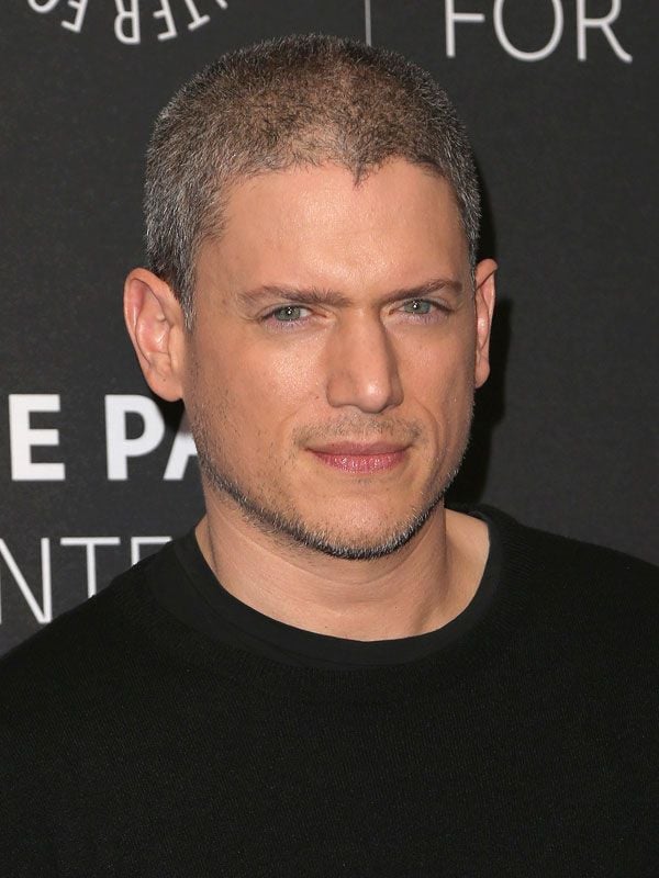 Wentworth Miller Filmografía