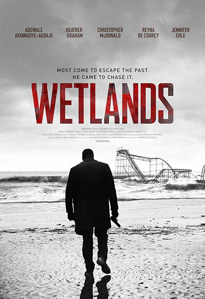 Wetlands - Película 2017