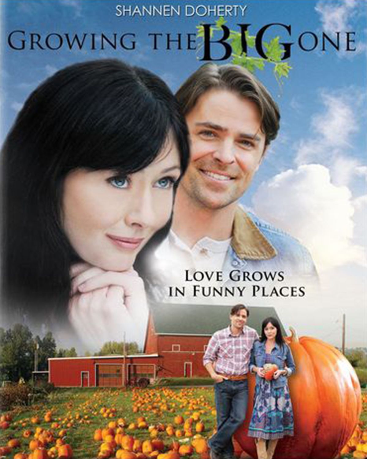 Cultivando calabazas gigantes - Película 2010