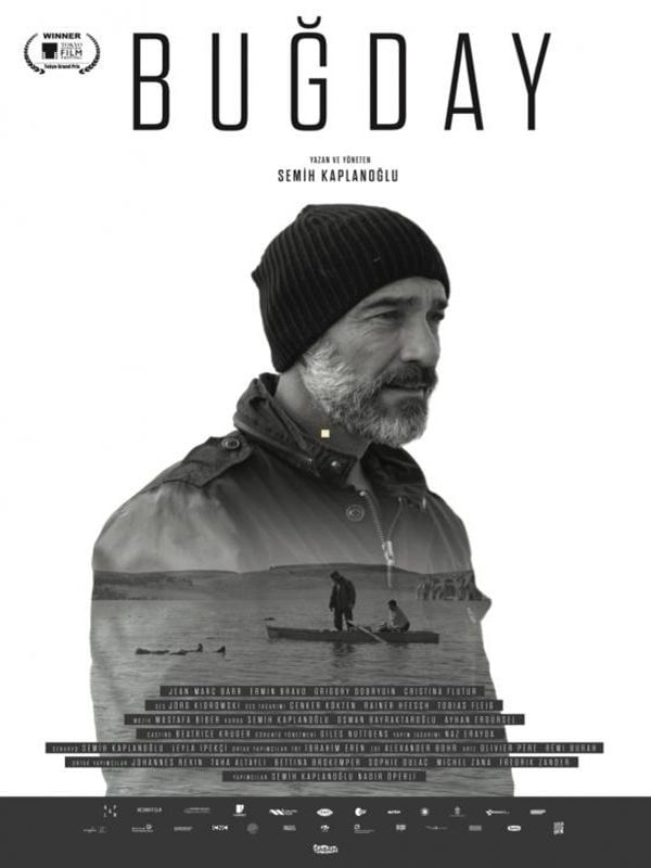 Buğday - Película 2017