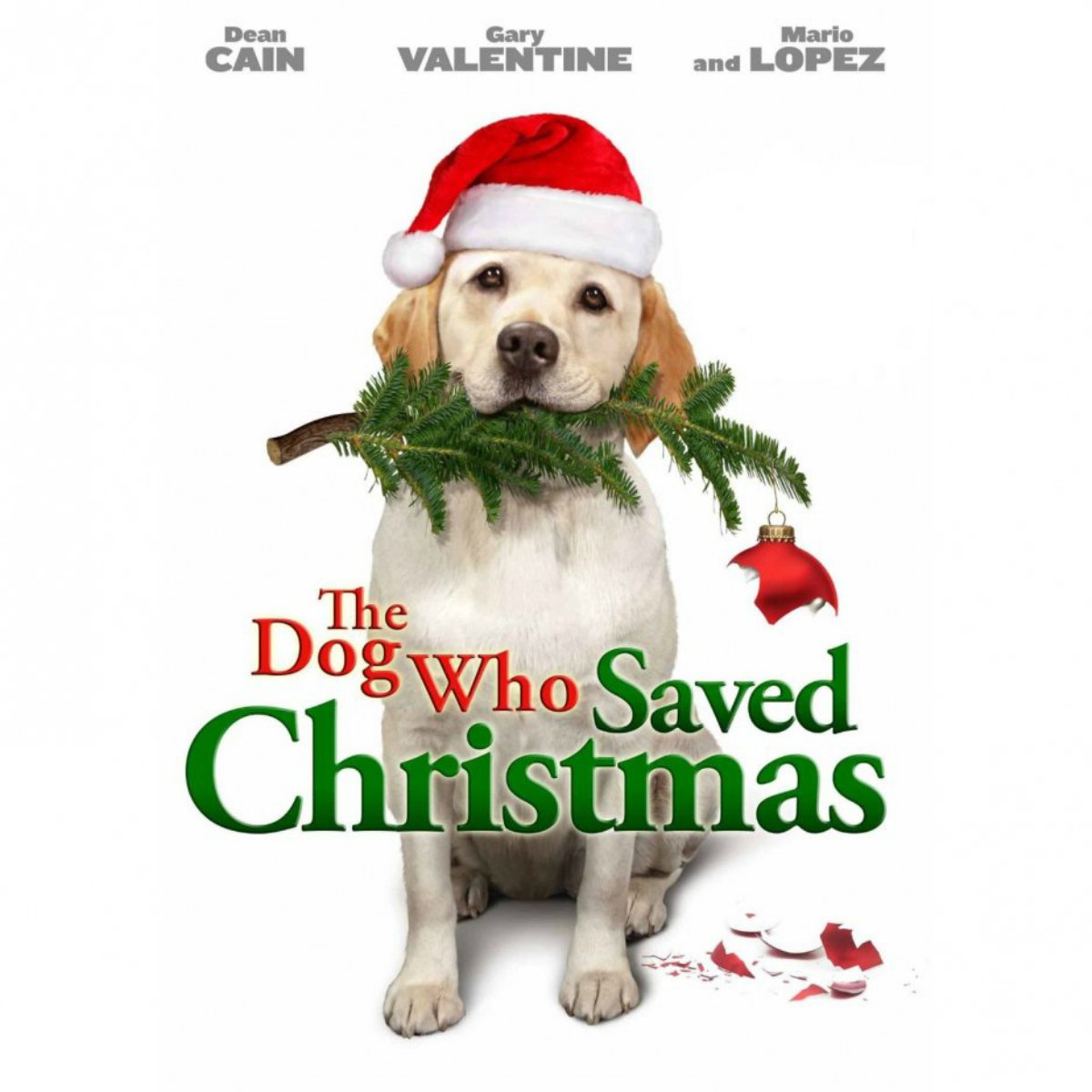 El perro que salvó la Navidad - Película 2009 