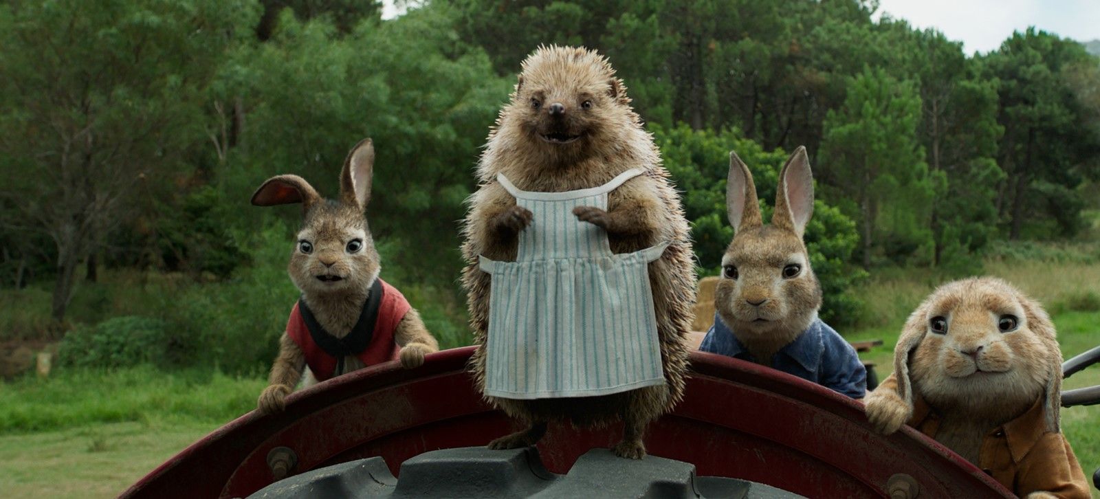 Foto de la película Peter Rabbit - Foto 7 por un total de 20 ...