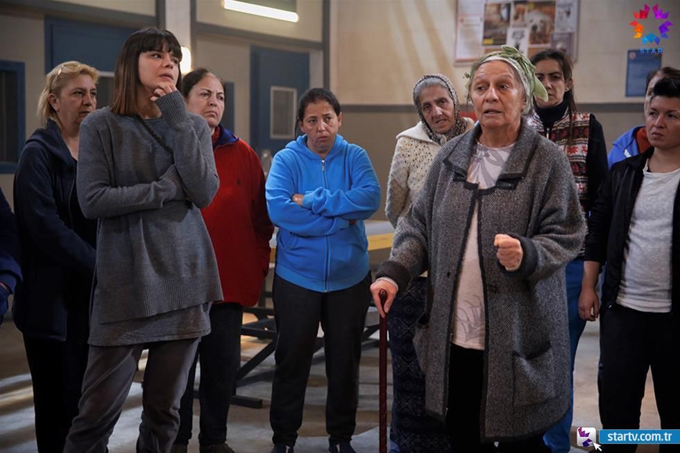 Avlu El patio Avlu El patio Foto Foto 11 sobre 265