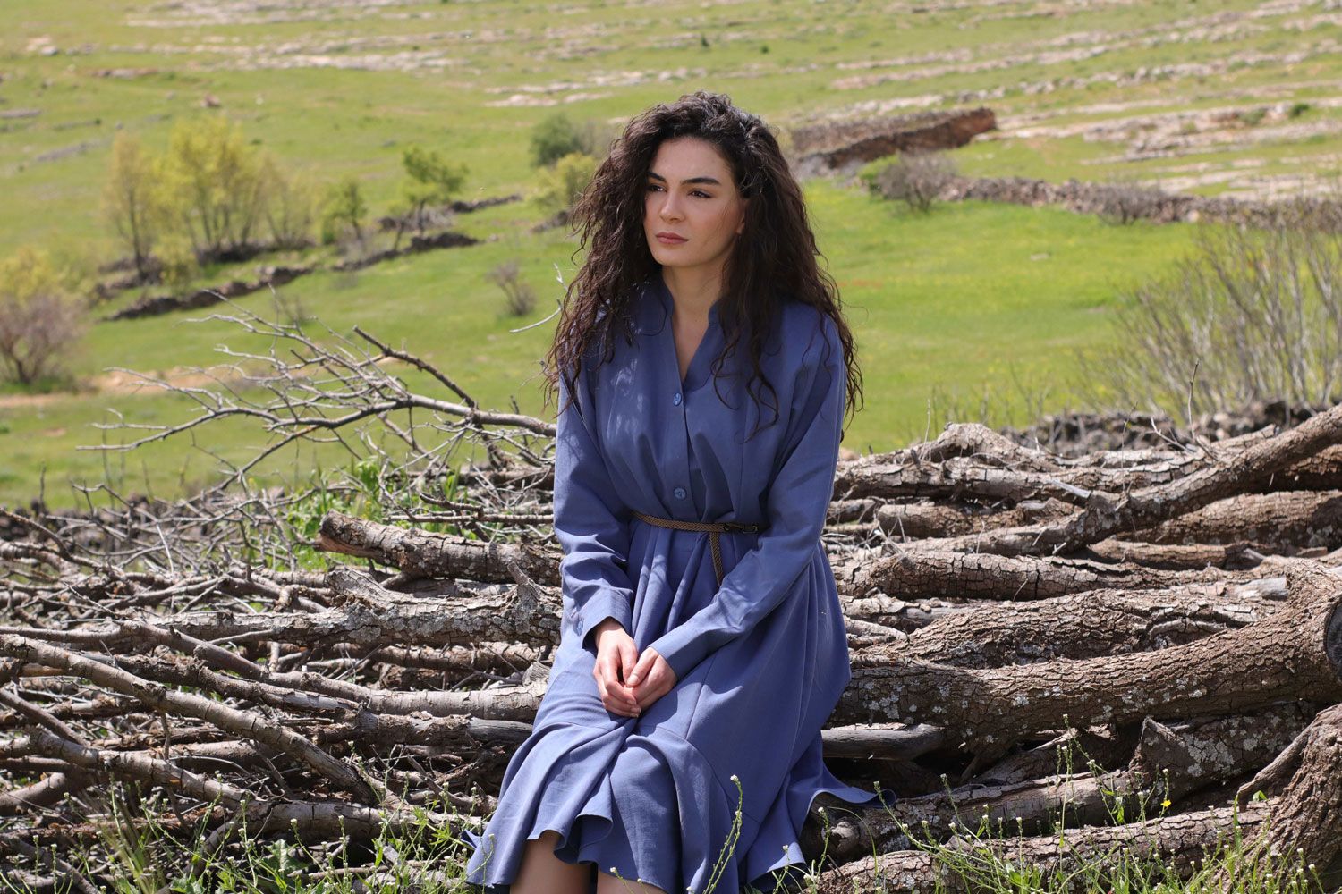 netflix series hercai