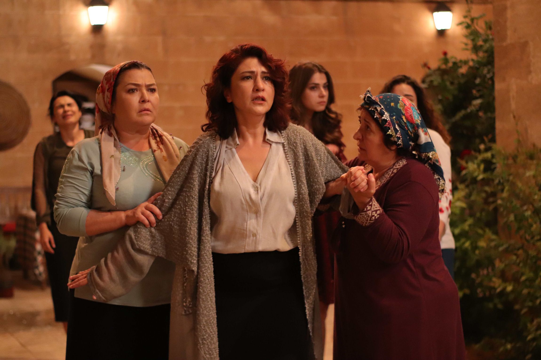 Hercai : Hercai : Foto - Foto 186 sobre 255 - SensaCine.com