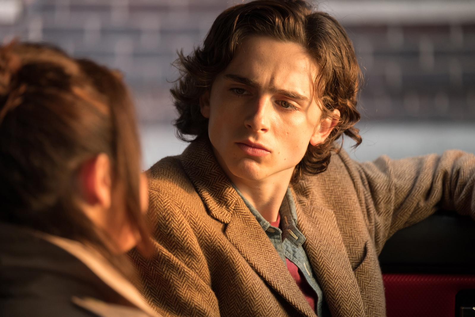 Foto de Timothée Chalamet - Día de lluvia en Nueva York : Foto Timothée  Chalamet - SensaCine.com