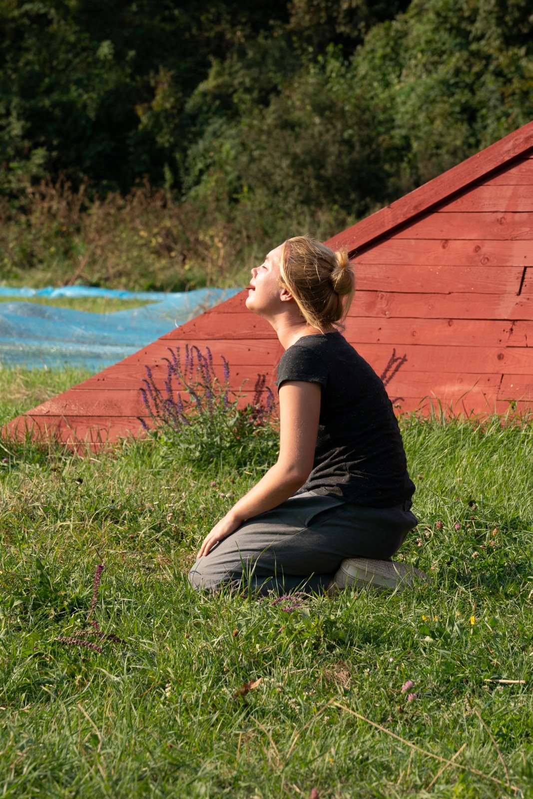 Foto De La Película Midsommar Foto 17 Por Un Total De 39 1047