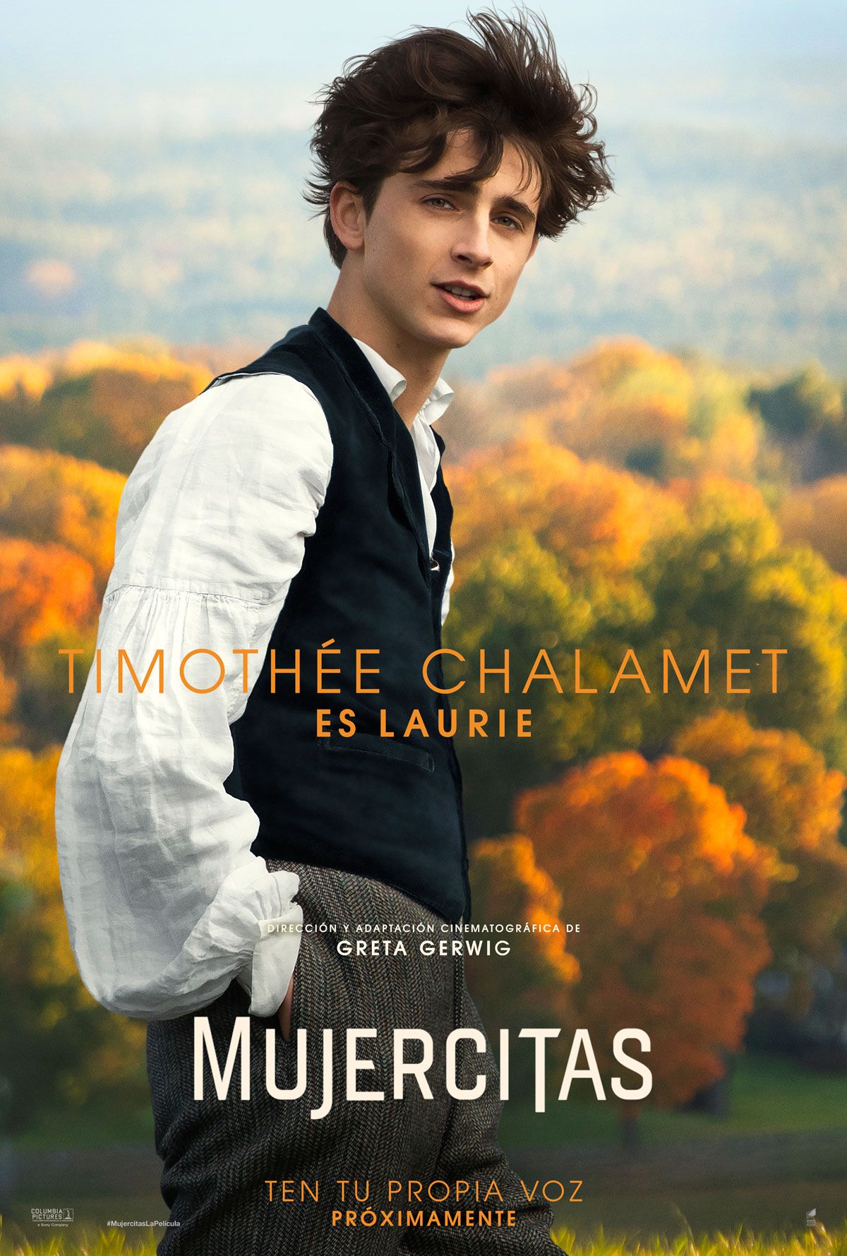 Cartel de la película Mujercitas Foto 15 por un total