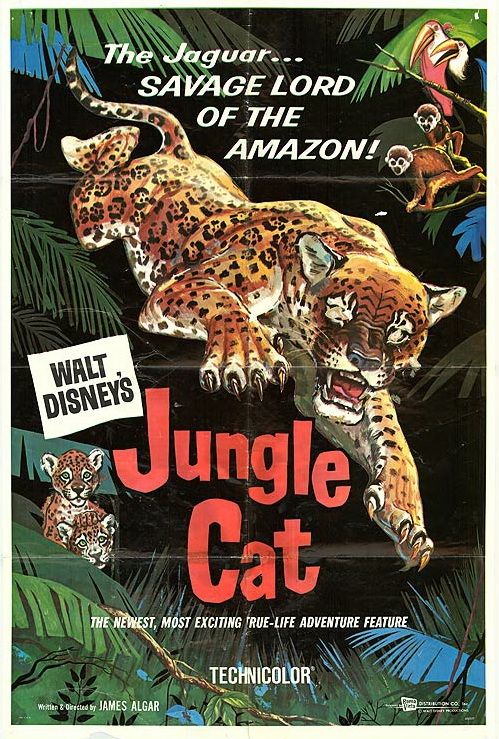 Jungle Cat - Documental 1960