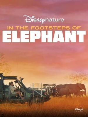 Tras los pasos del elefante - Película 2020 - SensaCine.com