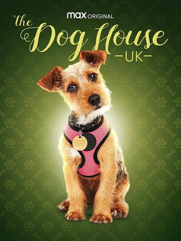 The Dog House - Serie 2019 - SensaCine.com