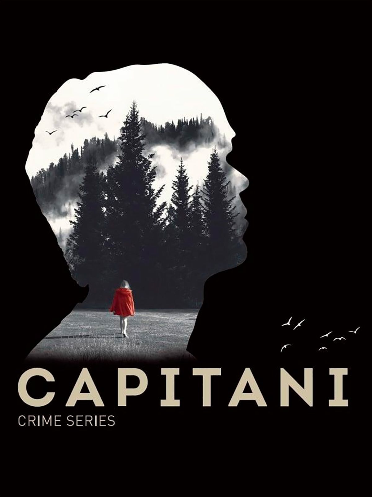 Films Et Séries Tv Avec Luc Schiltz Capitani - Serie 2019 - SensaCine.com