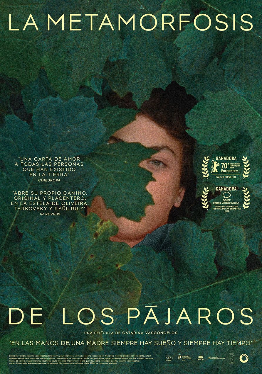 La metamorfosis de los pájaros - Documental 2020