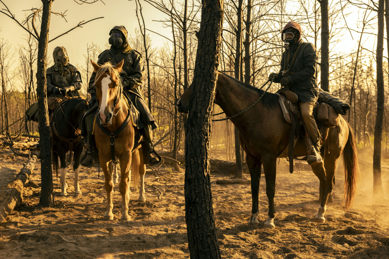 Fear The Walking Dead Fear The Walking Dead Foto Colman Domingo Foto 41 Sobre 494 