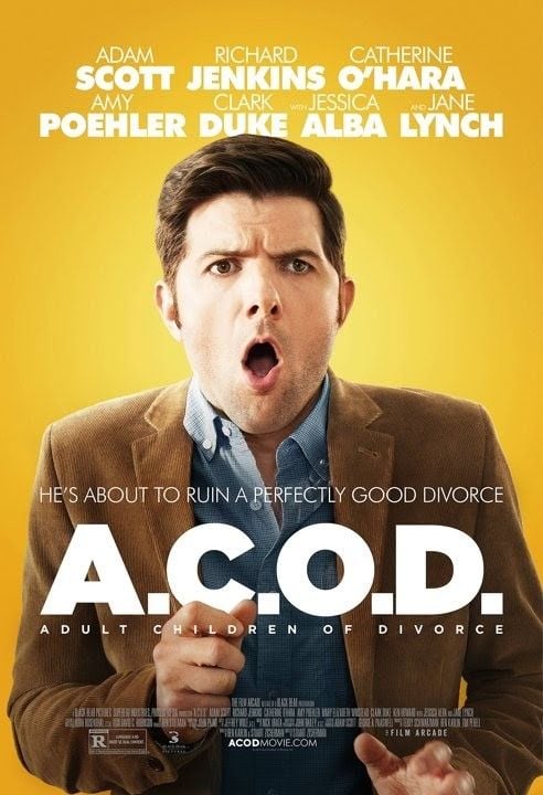 Síndrome post divorcio - Película 2013