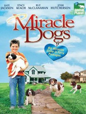 Miracle Dogs - Película 2003