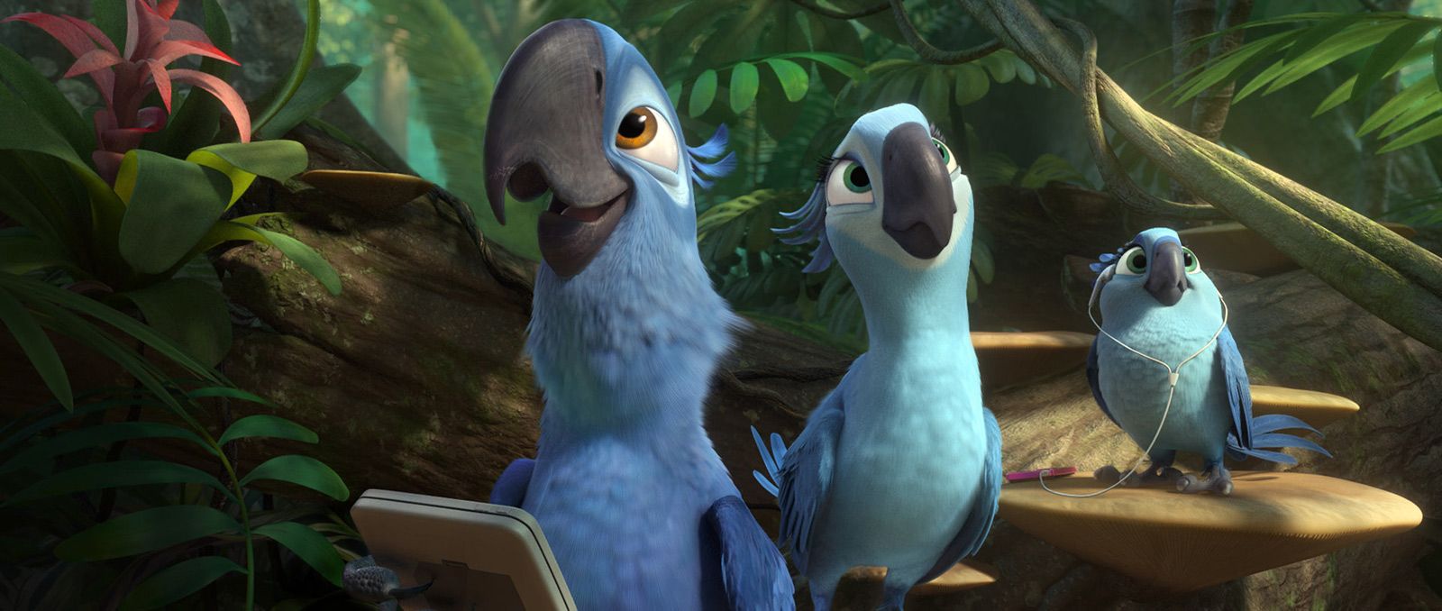 Foto de la película Rio 2 - Foto 39 por un total de 45 - SensaCine.com