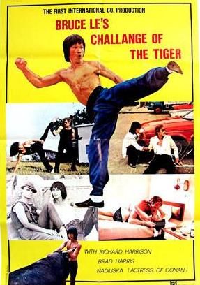Duelo del dragón y el tigre - Película 1980