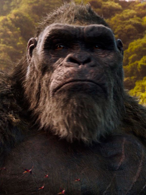 Son of Kong Película 2024