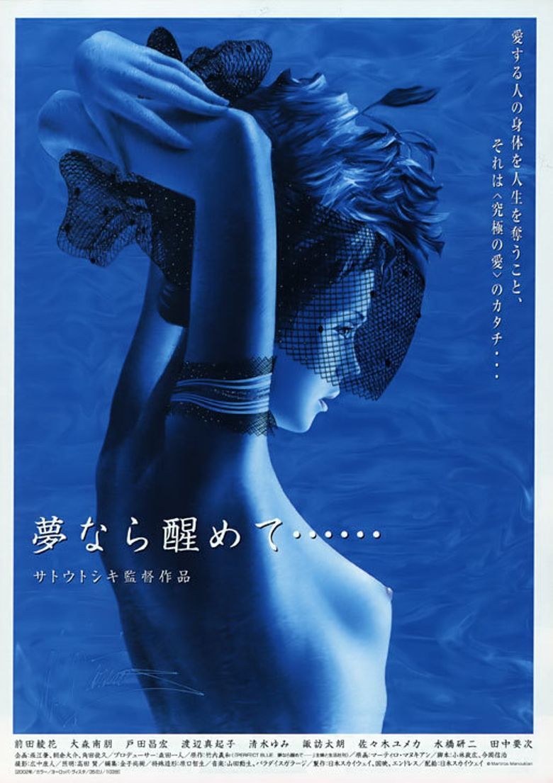 Perfect Blue: Yume Nara Samete - Película 2002