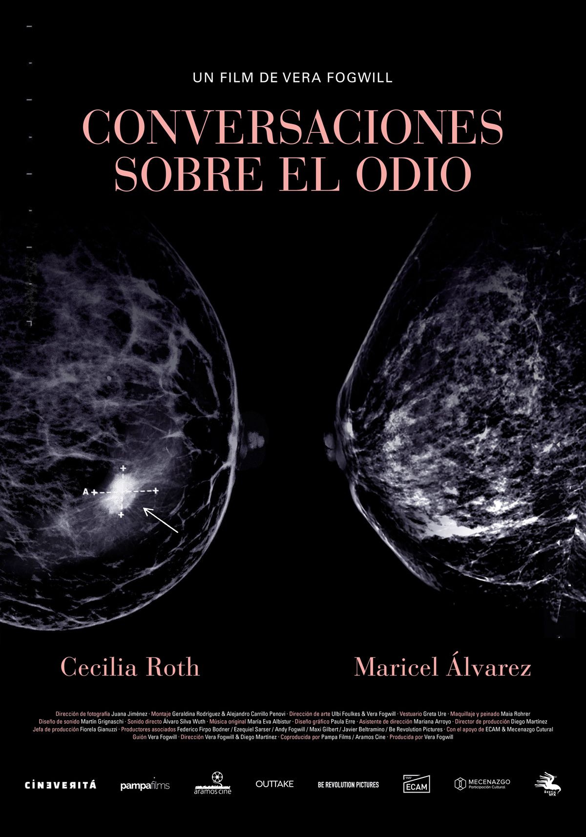 Conversaciones sobre el odio - Película 2023
