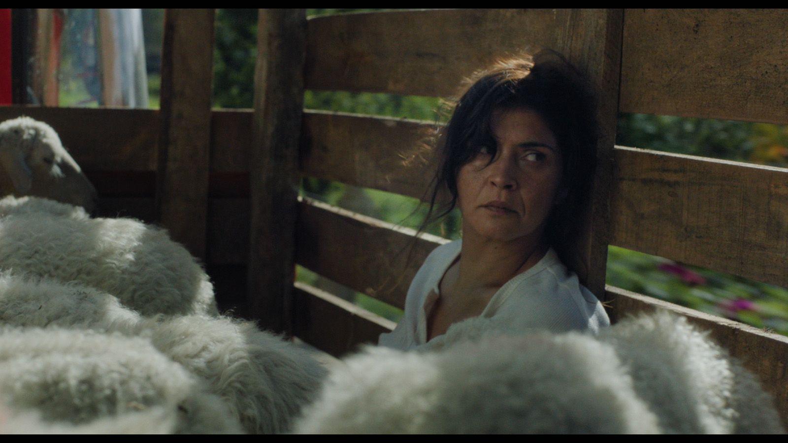 Foto de la película O corno - Foto 6 por un total de 10 - SensaCine.com