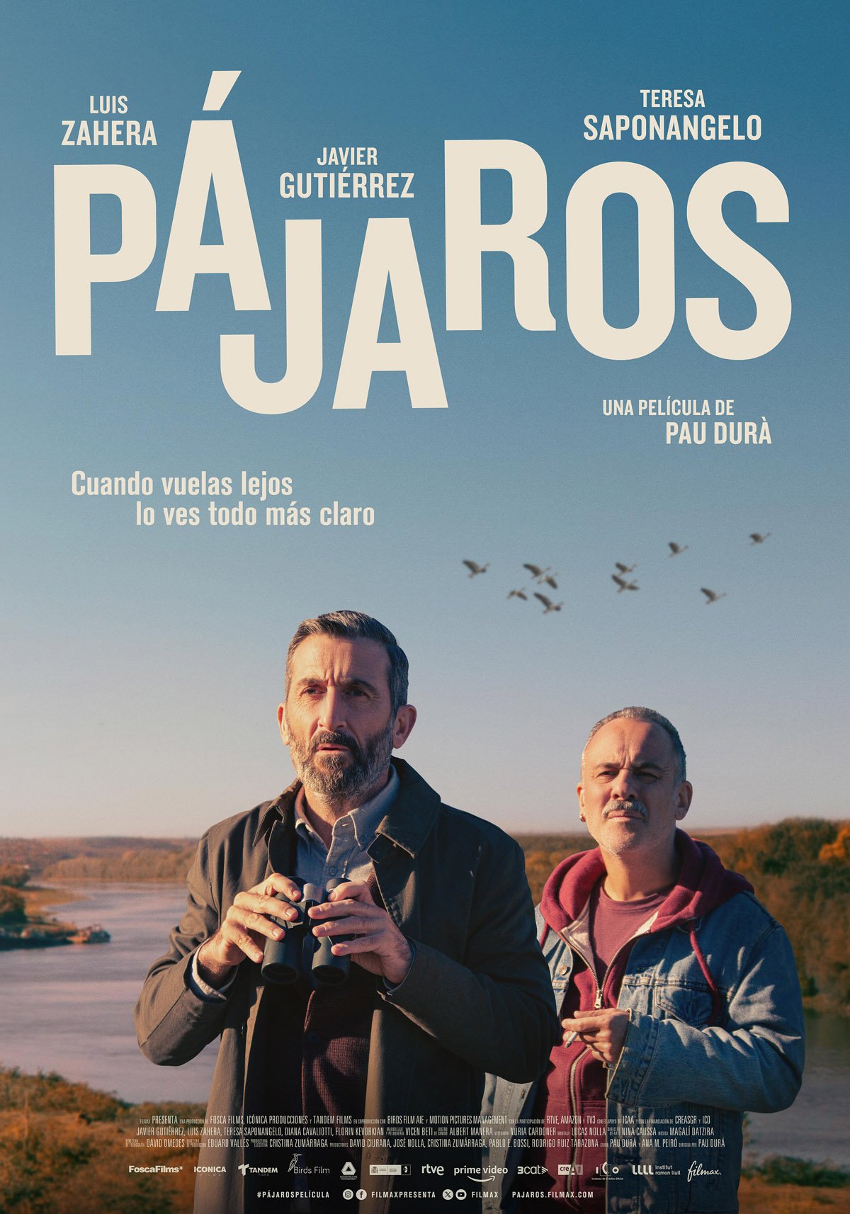 Pájaros Película 2024