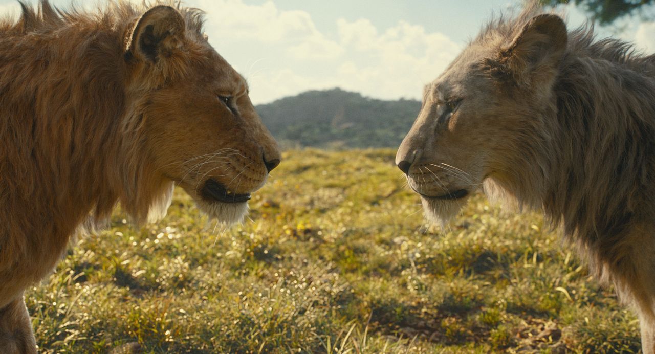 Mufasa: El rey león : Foto