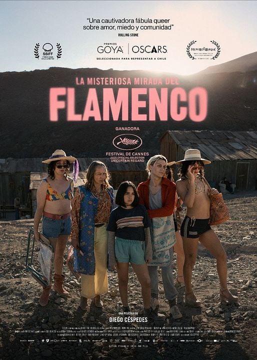 La Misteriosa Mirada Del Flamenco : Cartel
