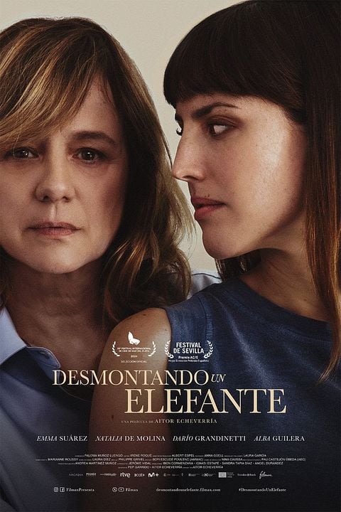 Desmontando un elefante : Cartel