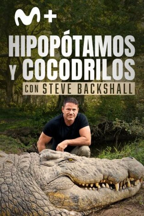 Hipopótamos y cocodrilos con Steve Backshall : Cartel