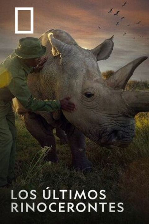 The Last Rhinos: A New Hope : Cartel