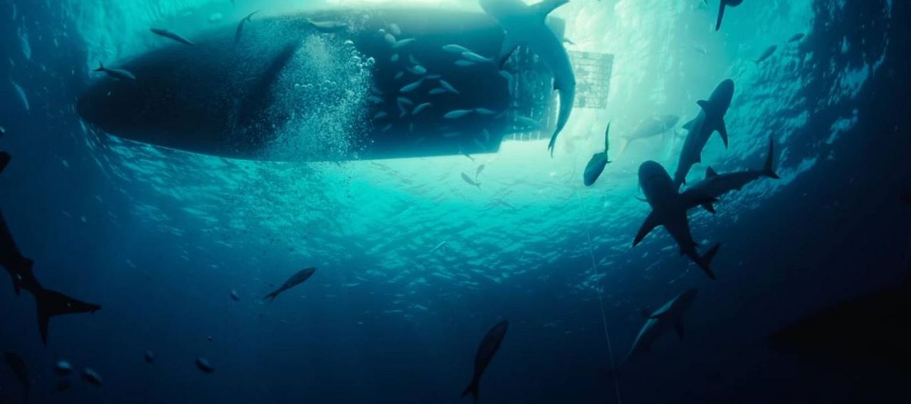 Dangerous Animals : Foto