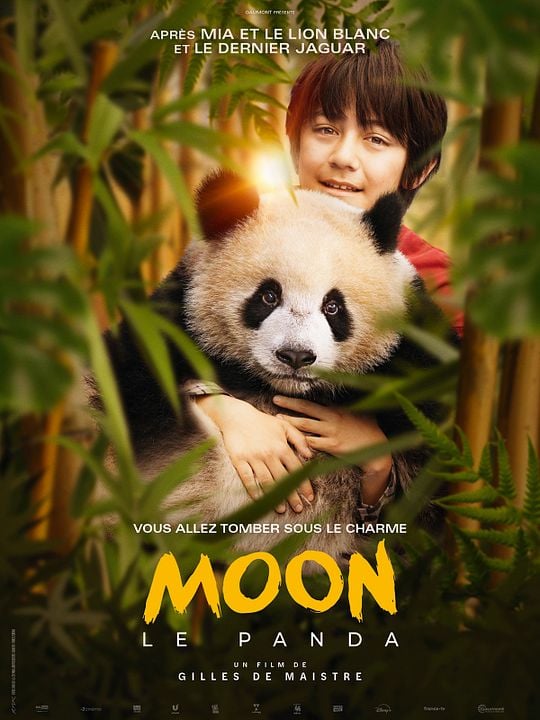 Moon, mi amigo panda : Cartel