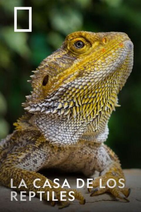La casa de los reptiles : Cartel