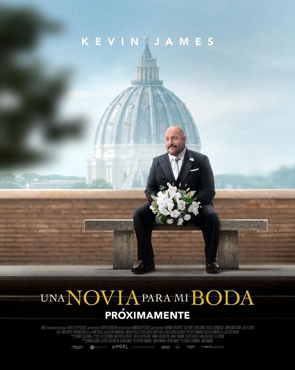 Una novia para mi boda : Cartel