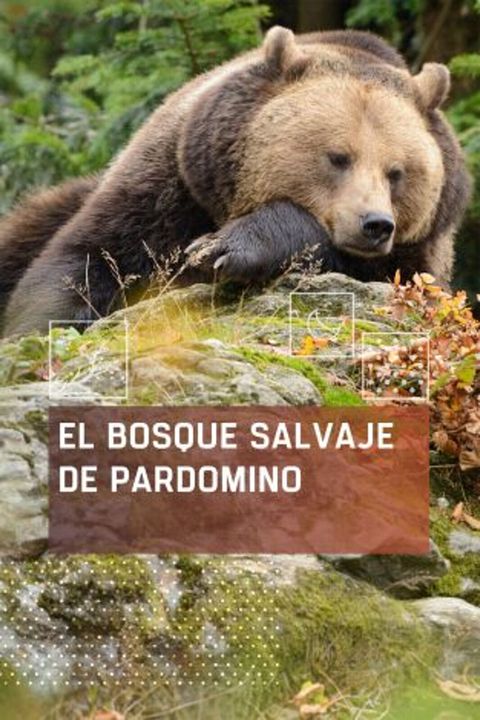 El bosque salvaje de Pardomino : Cartel