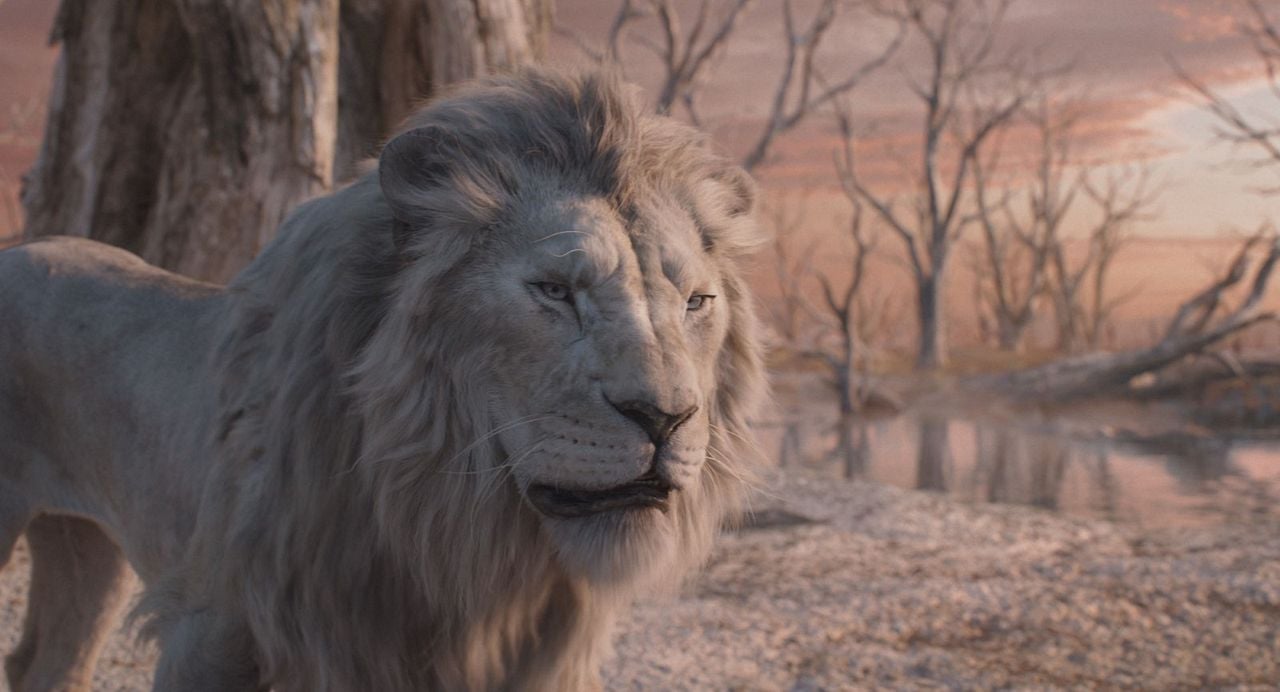 Mufasa: El rey león : Foto