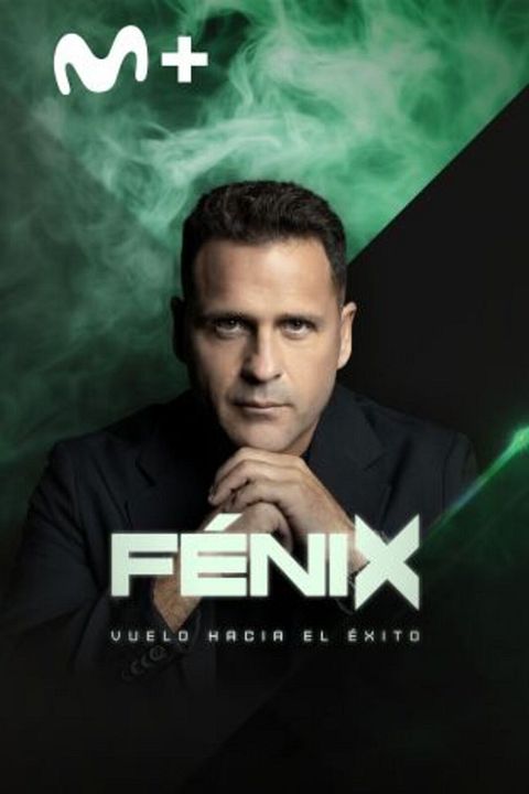 Fénix: Vuelo hacia el éxito : Cartel