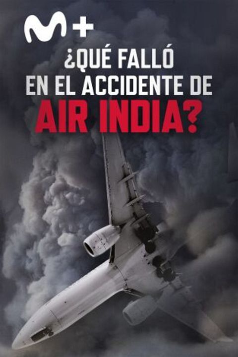 ¿Qué falló en el accidente de Air India? : Cartel
