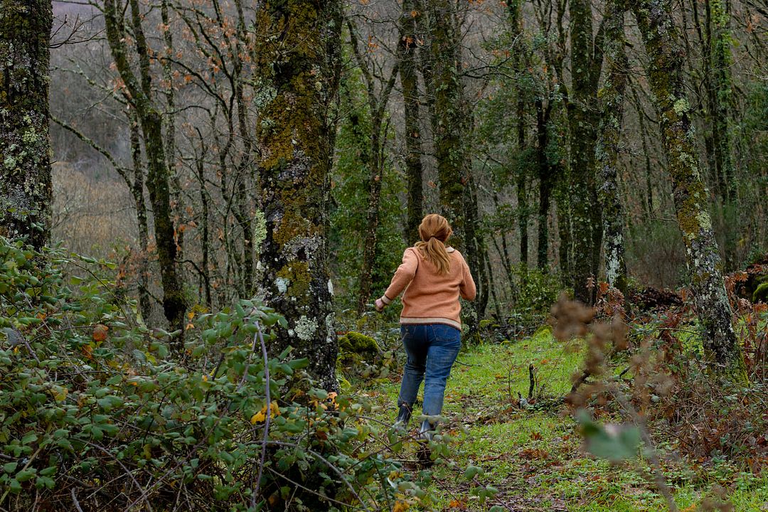 El cuco de cristal : Foto