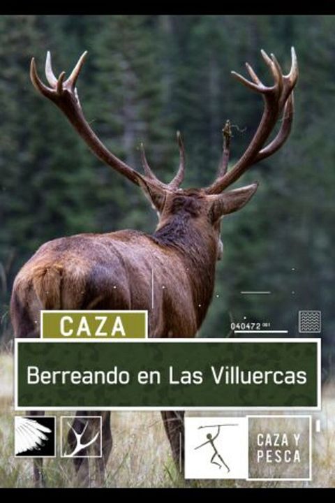 Berreando en Las Villuercas : Cartel