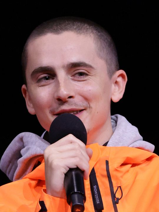 Cartel Timothée Chalamet
