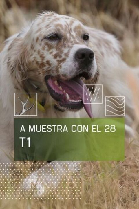 A muestra con el 28 : Cartel