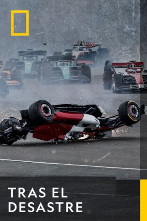 Tras el desastre : Cartel